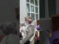 рџ Ј How Amazing рџ Ј How Amazing