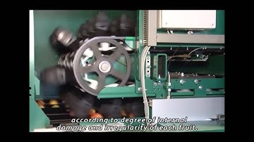 GREEFA - PDM - GeoSort 4 lane grading machine for apples with English subtitles
