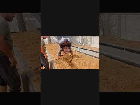 مخطط تصميم وتنفيذ مشروع مزارع ساندبونيك  وجيه خوجه