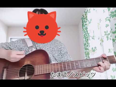 たまご／スピッツ 弾き語り cover