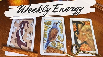 This week! Your Detailed Weekly Tarot Forecast 🔮 pick a card weekly 
