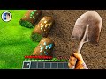 Minecraft in Real Life POV - Realistic Minecraft 創世神第一人稱真人版 EN LA VIDA REAL Minecraft RTX Texture