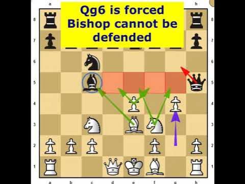 Have you ever won a game in this line? ♟️ #chessopenings #chesstraps #