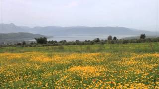 Dokunmayin Bana Rahat Birakin