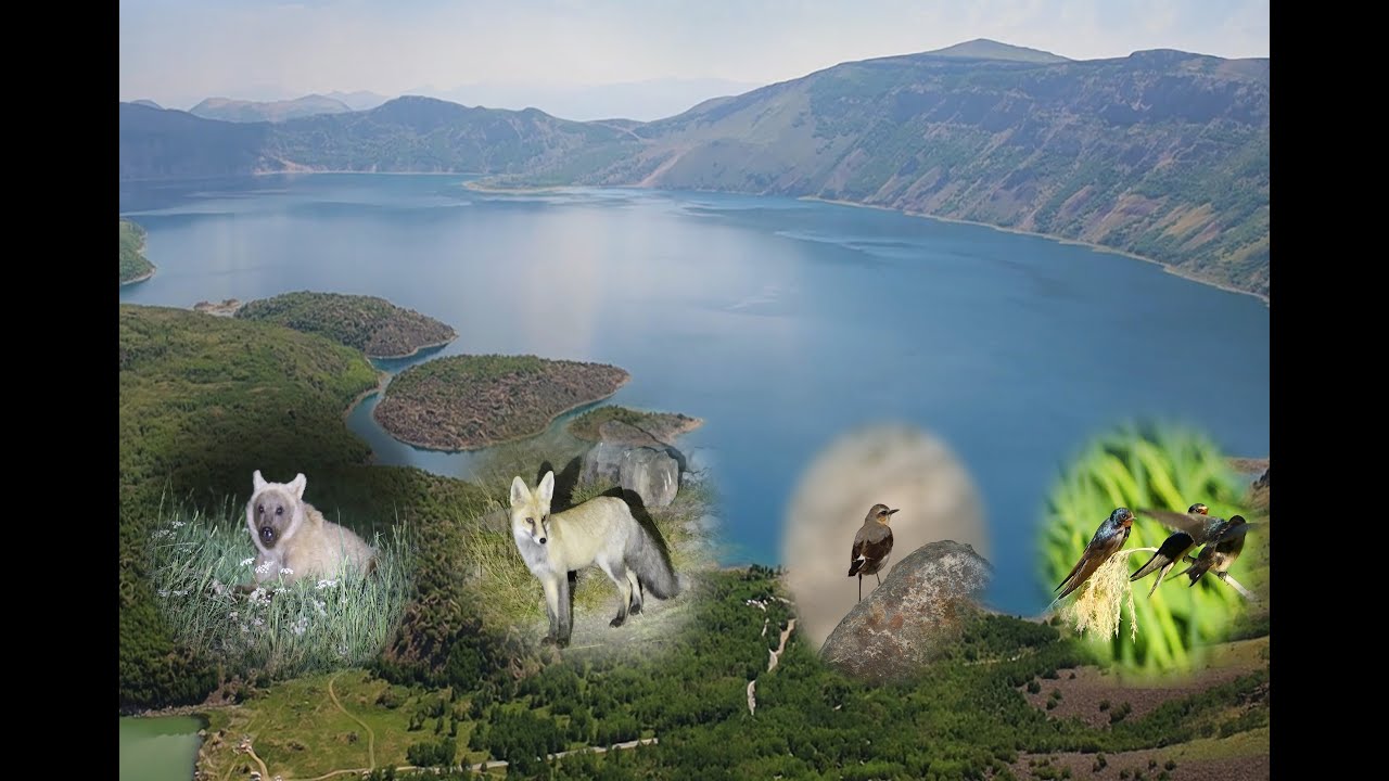 Nemrut Kraterinin Sakinleri Belgeseli 2021