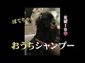 愛犬ポテちゃんのおうちシャンプー【ノーカット版】