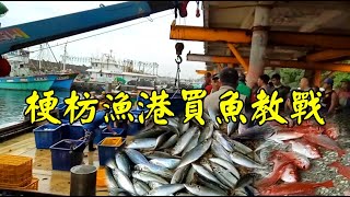 頭城梗枋漁港買魚教戰 