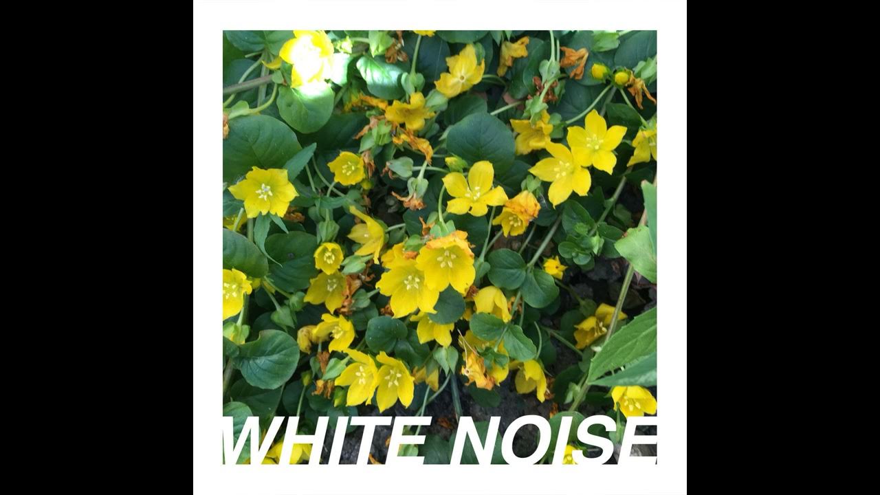 Rising High Pitch White Noise YouTube