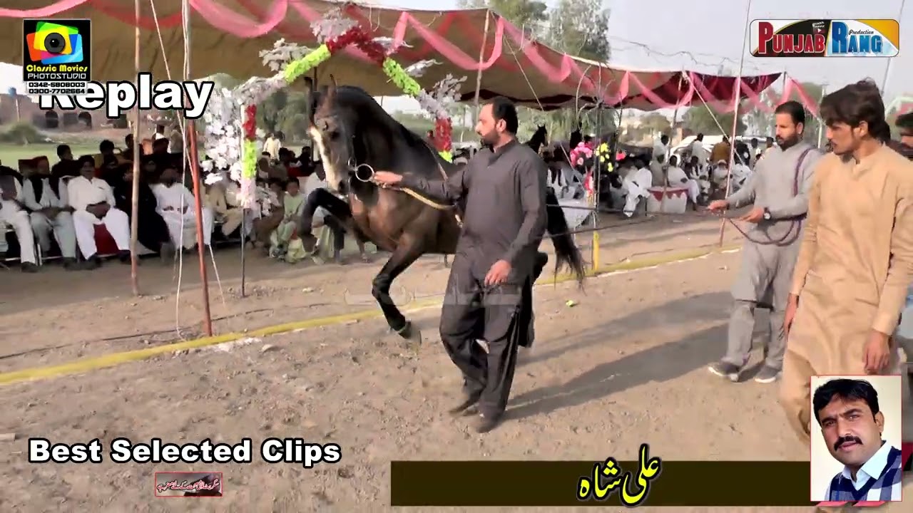 Sargam سرگم l Maharaja مہا راجہ l Horse Dance l 16 November 2026 l Manoof Jateem 733 Kamalia