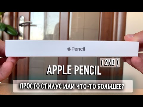 Apple Pencil (2nd Generation) | Просто стилус или что-то большее?