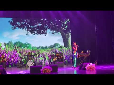 夕阳诗情~黄昏画意❤陈佳演唱~又见炊烟🌹