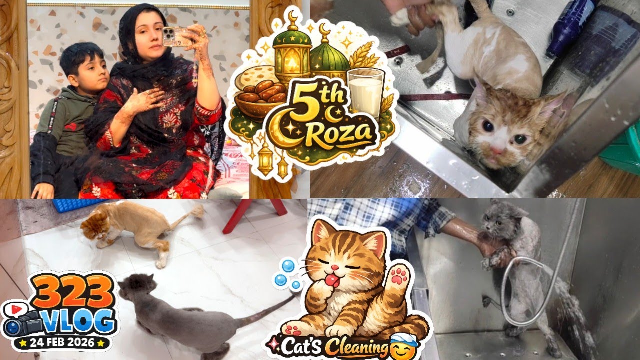 323 vlog | 24 feb 2026 | 5th roza | tabiyat  🤕 kharab 🤒 | cat cleaning | zebakhanmalik family vlog