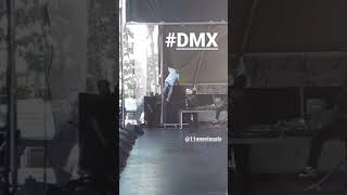 #DMX jumps off stereo speaker