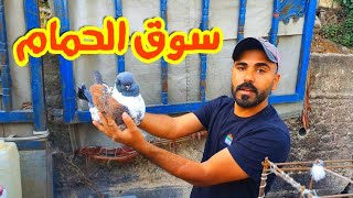 اكبر واغلا طير في سوق سوق الحمام 🔥🔥