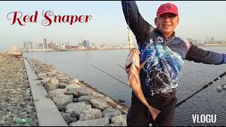 The Best Fishing Spot Al zorah Ajman UAE (  Lures Challenge  Big fish Landed )