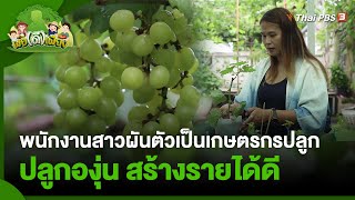 พนักงานสาวผันตัวเป็นเกษตรกรปลูกองุ่น ใช้พื้นที่รอบบ้าน สร้างรายได้ดี | พอดีพอเพียง