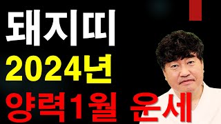 2024 양력 1월 돼지띠 운세 놀고 싶어도 놀 수가 없다. 눈치가 장난이 아니네..  사주상담  010.5…