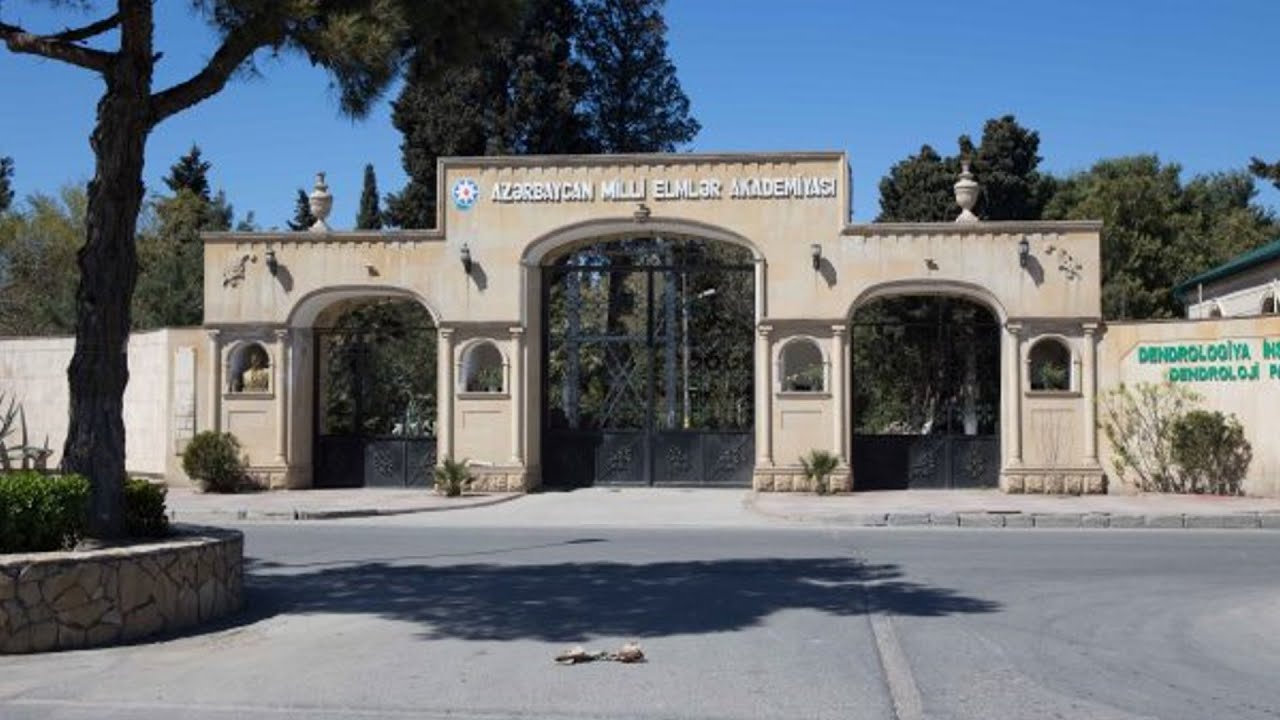 Milyonçudan qalan bağ, hovuz və quyu - Mərdəkan dendrarisi 2