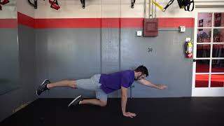 Bird Dog exercise demonstration by Dr. Brian Fischer