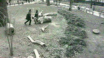 Harold Finch/Grace Hendricks - Muted Wishper