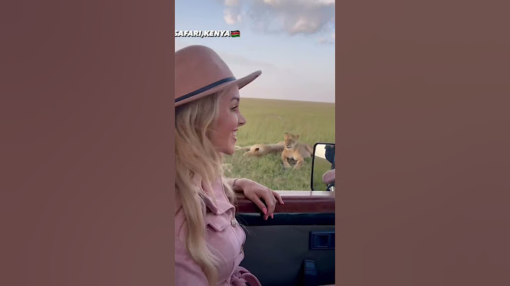Magical Masai Mara 🇰🇪