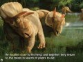 Triceratops Gets Lost - Smithsonian's Prehistoric Pals | Book Apps