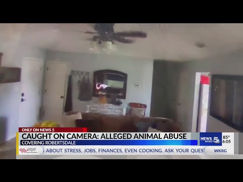 Caught on Camera: Alleged animal abuse
