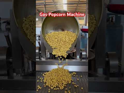 100L 55kg/h Gas