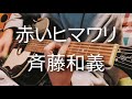 赤いヒマワリ -斉藤和義 cover