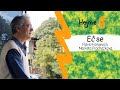 Eĉ se (Flávio Fonseca) - en Esperanto