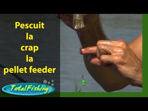 Pescuit la crap cu pellet feeder