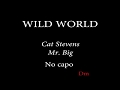 WILD WORLD - MR. BIG / CAT STEVENS