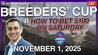 💰 Taruhan $100 di Breeders’ Cup Sabtu | Strategi & Permainan Gino Buccola screenshot 4
