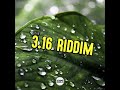 3.16 Riddim