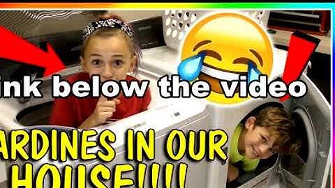SARDINES IN OUR HOUSE! | We Are The Davises  HIDE AND SEEK