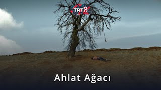 Ahlat Ağacı | Film Arkası