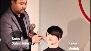 Zebra Models Salon Hair Shows Salon Saco 2011.flv