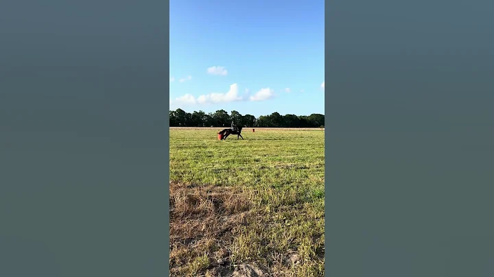 Y’all asked for the raw so here it is :)