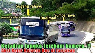 ASLI SERU !! Aksi Kejar Kejaran Bus Jawa di Jalur Gentong tasik,bus budiman bus sumber jaya