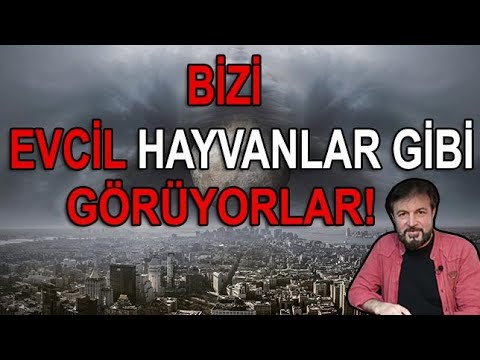 Video: Evcil Hayvanlar Bize Ne Söyler