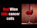 11 CRAZY/INSANE FACTS YOU DIDN&quot;T KNOW ABOUT CANCER!