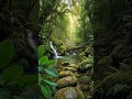 Relaxing River &amp; Waterfall Sounds for Sleep &amp; Study