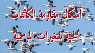 الدرس 10 أشكال مقاومة الكائنات الحية للتغيرات الموسمية  دروس العلوم الطبيعية 2متوسط
