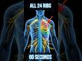 Learn Every Rib Bone in 60 Seconds | Anatomy Guide