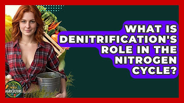 What Is Denitrification
