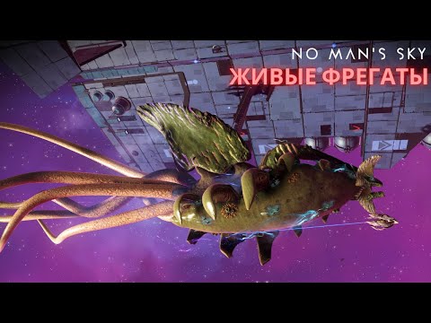 Как получить Живой Фрегат и Детектор Аномалии [NMS Endurance] #28