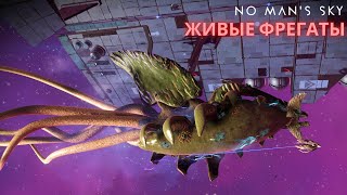 Как получить Живой Фрегат и Детектор Аномалии [NMS Endurance] #28