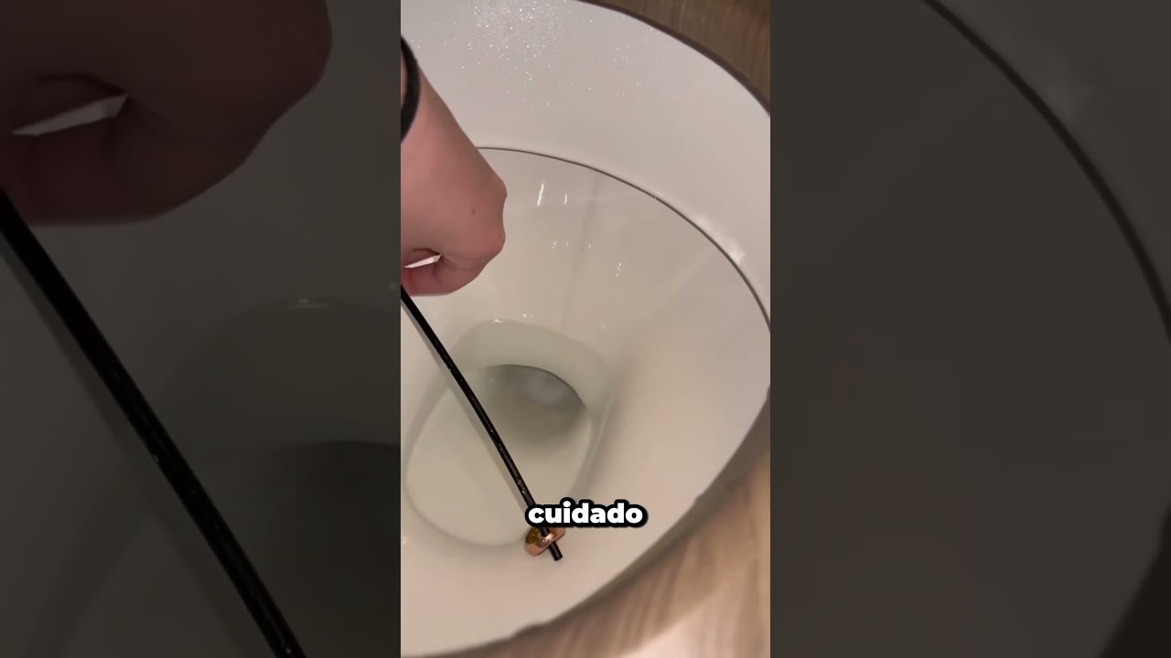 ¡Rescaté un anillo de oro del inodoro!