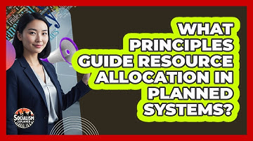 What Principles Guide Resource Allocation In Planned Systems?