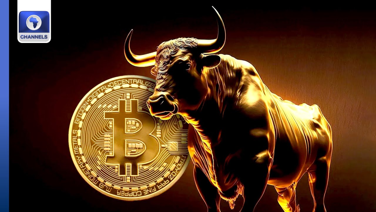 Navigating Crypto Bull Market